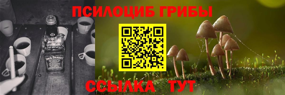 Псилоцибиновые грибы Psilocybe  Вход с VPN  Клин 